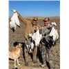 Image 1 : 3-day Saskatchewan Waterfowl & Upland Combo Hunt 1 hunter - Benelli Boyz