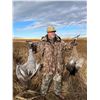 Image 3 : 3-day Saskatchewan Waterfowl & Upland Combo Hunt 1 hunter - Benelli Boyz