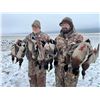 Image 4 : 3-day Saskatchewan Waterfowl & Upland Combo Hunt 1 hunter - Benelli Boyz