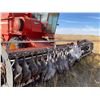 Image 6 : 3-day Saskatchewan Waterfowl & Upland Combo Hunt 1 hunter - Benelli Boyz