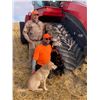 Image 7 : 3-day Saskatchewan Waterfowl & Upland Combo Hunt 1 hunter - Benelli Boyz
