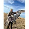 Image 8 : 3-day Saskatchewan Waterfowl & Upland Combo Hunt 1 hunter - Benelli Boyz