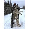 Image 1 : 5-day Ontario Wolf Hunt, 1 Hunter - Kapriver Outfitters