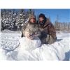 Image 2 : 5-day Ontario Wolf Hunt, 1 Hunter - Kapriver Outfitters