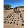Image 9 : HP Wingshooting Adventures  - Argentina Dove, Pigeon – 3 Hunters