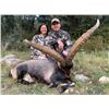 Image 10 : La Espadella $3,000 Credit Red Stag or Mouflon or Fallow Deer + $1,000 Credit Beseite Ibex