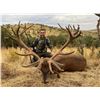 Image 1 : La Espadella $3,000 Credit Red Stag or Mouflon or Fallow Deer + $1,000 Credit Beseite Ibex