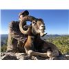Image 3 : La Espadella $3,000 Credit Red Stag or Mouflon or Fallow Deer + $1,000 Credit Beseite Ibex