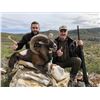 Image 4 : La Espadella $3,000 Credit Red Stag or Mouflon or Fallow Deer + $1,000 Credit Beseite Ibex