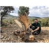 Image 5 : La Espadella $3,000 Credit Red Stag or Mouflon or Fallow Deer + $1,000 Credit Beseite Ibex