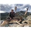 Image 6 : La Espadella $3,000 Credit Red Stag or Mouflon or Fallow Deer + $1,000 Credit Beseite Ibex