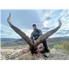 Image 7 : La Espadella $3,000 Credit Red Stag or Mouflon or Fallow Deer + $1,000 Credit Beseite Ibex