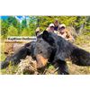 Image 3 : Kap River Outfitters – Ontario Black Bear Hunt, 1 Hunter for 5 Days