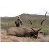 Image 1 : Leopard Valley Safari – South Africa / Plains Game Hunt for 2 Hunters ($3,000 Credit)