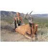 Image 3 : Leopard Valley Safari – South Africa / Plains Game Hunt for 2 Hunters ($3,000 Credit)