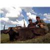 Image 7 : Leopard Valley Safari – South Africa / Plains Game Hunt for 2 Hunters ($3,000 Credit)