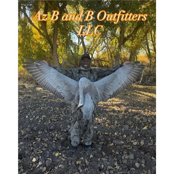 AZ B and B Outfitters – Arizona Sandhill Crane for 4 Hunters