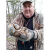 Image 3 : Ruffed Grouse/Woodcock Hunt – Michigan 2 Hunters