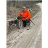 Image 4 : Ruffed Grouse/Woodcock Hunt – Michigan 2 Hunters