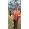 Image 6 : Ruffed Grouse/Woodcock Hunt – Michigan 2 Hunters
