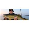 Image 3 : Kinn’s Sport Fishing – Sturgeon Bay Wisconsin / Walleye Fishing for 4 Anglers