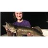 Image 4 : Kinn’s Sport Fishing – Sturgeon Bay Wisconsin / Walleye Fishing for 4 Anglers