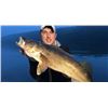 Image 5 : Kinn’s Sport Fishing – Sturgeon Bay Wisconsin / Walleye Fishing for 4 Anglers