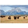 Image 4 : Jackson Hole Choice Summer/Winter – 2 People, 4 day/4 night
