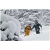 Image 6 : Jackson Hole Choice Summer/Winter – 2 People, 4 day/4 night