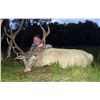 Image 10 : International Adventures Unlimited - Scotland Red Stag (Hill Stag), 1 Hunter