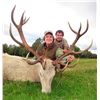 Image 11 : International Adventures Unlimited - Scotland Red Stag (Hill Stag), 1 Hunter