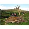Image 1 : International Adventures Unlimited - Scotland Red Stag (Hill Stag), 1 Hunter