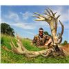 Image 2 : International Adventures Unlimited - Scotland Red Stag (Hill Stag), 1 Hunter