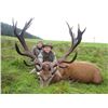 Image 3 : International Adventures Unlimited - Scotland Red Stag (Hill Stag), 1 Hunter