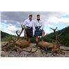 Image 4 : International Adventures Unlimited - Scotland Red Stag (Hill Stag), 1 Hunter