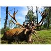 Image 6 : International Adventures Unlimited - Scotland Red Stag (Hill Stag), 1 Hunter