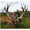Image 7 : International Adventures Unlimited - Scotland Red Stag (Hill Stag), 1 Hunter