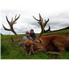 Image 8 : International Adventures Unlimited - Scotland Red Stag (Hill Stag), 1 Hunter