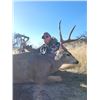 Image 10 : AZ B and B Outfitters – Arizona Mule Deer or Couse Deer for 2 Hunters (Archery or Rifle)
