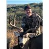 Image 2 : AZ B and B Outfitters – Arizona Mule Deer or Couse Deer for 2 Hunters (Archery or Rifle)