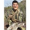 Image 4 : AZ B and B Outfitters – Arizona Mule Deer or Couse Deer for 2 Hunters (Archery or Rifle)