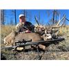 Image 5 : AZ B and B Outfitters – Arizona Mule Deer or Couse Deer for 2 Hunters (Archery or Rifle)