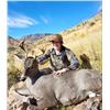 Image 7 : AZ B and B Outfitters – Arizona Mule Deer or Couse Deer for 2 Hunters (Archery or Rifle)