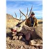Image 9 : AZ B and B Outfitters – Arizona Mule Deer or Couse Deer for 2 Hunters (Archery or Rifle)