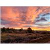 Image 7 : Lickity Split Outfitters – Utah, Cow Elk Hunt for 1 Hunter