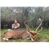 Image 14 : Catena Safaris-Patagonia Argentina Big Game Hunt – 4 Hunters, 4 Trophies