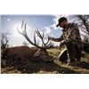Image 9 : Catena Safaris-Patagonia Argentina Big Game Hunt – 4 Hunters, 4 Trophies