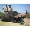 Image 5 : Leopard’s Valley Safaris – 7 Day Cape Buffalo Hunt, 1 Hunter Plus 375 H&H
