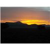 Image 9 : Leopard’s Valley Safaris – 7 Day Cape Buffalo Hunt, 1 Hunter Plus 375 H&H
