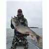 Image 3 : Lawrence Bay Lodge Fly-In Fishing Trip – Saskatchewan, 2 Anglers